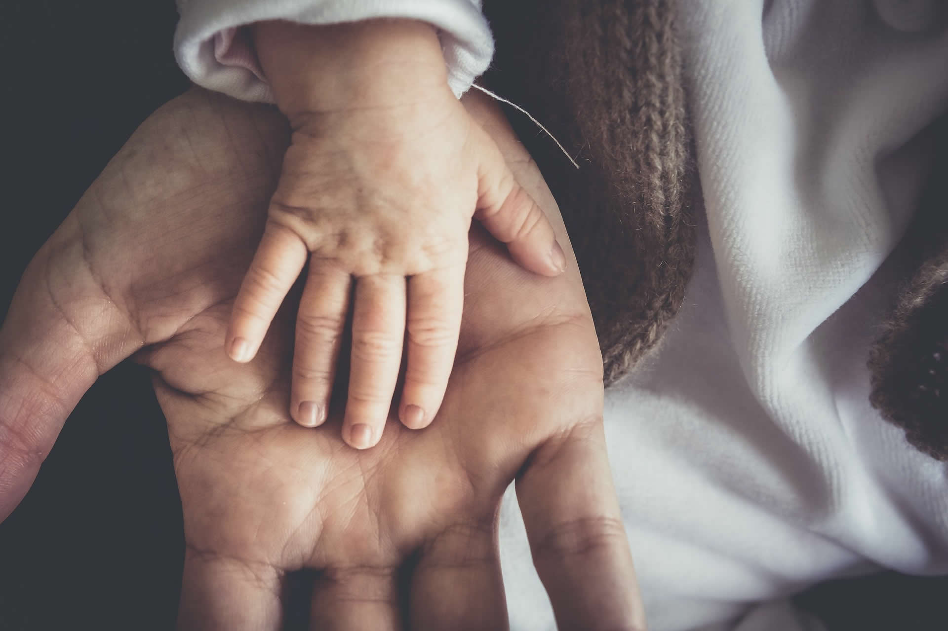 Abogados de Divorcio en Brunete